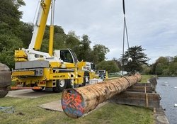Des troncs immergés dans la Penfeld pour la restauration du Français