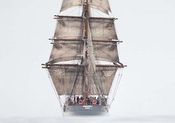 Le Français sera doublement présent aux Fêtes maritimes de Brest 2024
